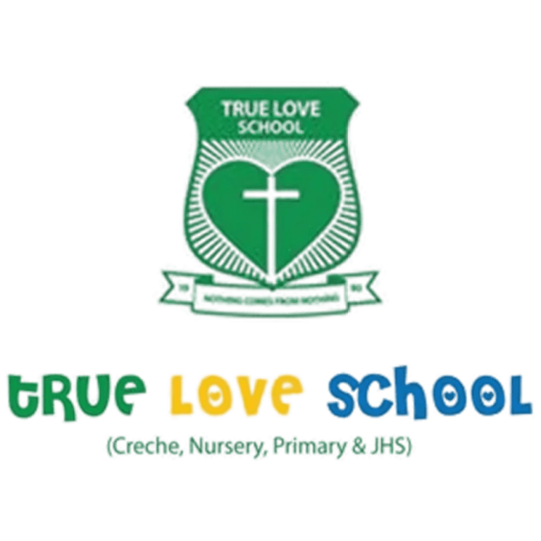 Diasporadical - True love School